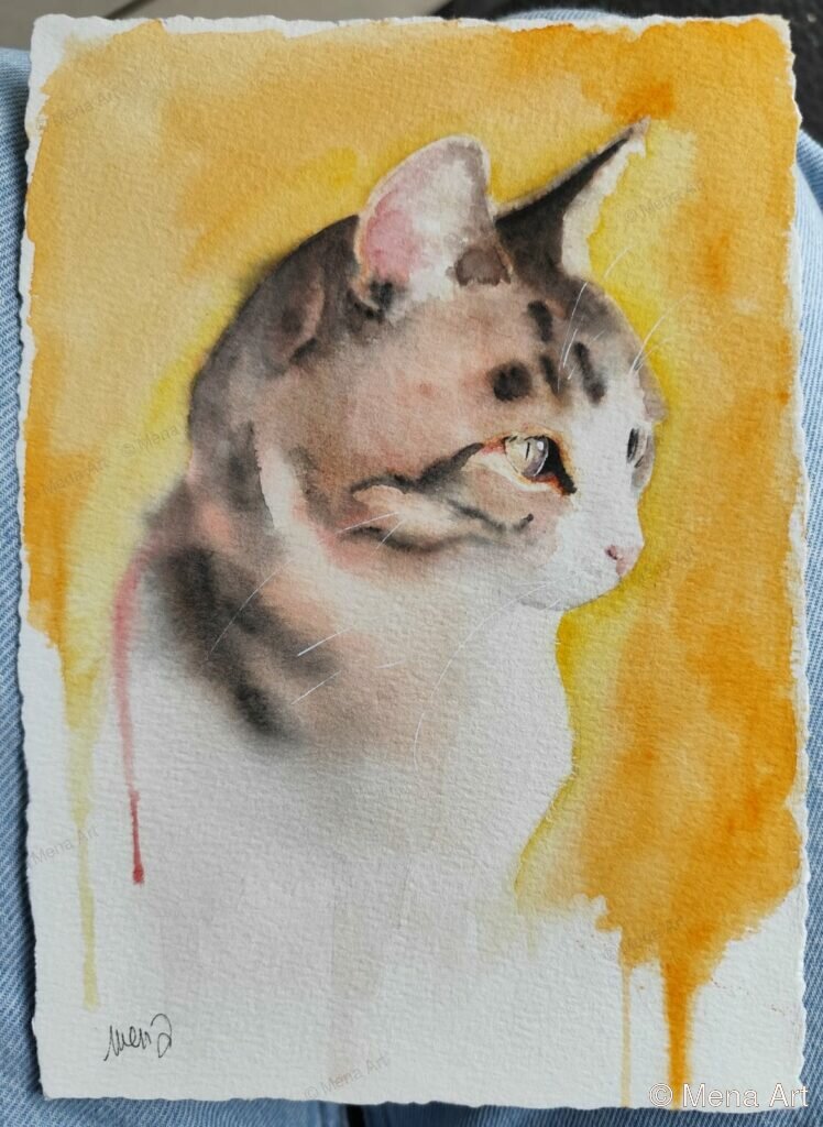 Le regard du chat
