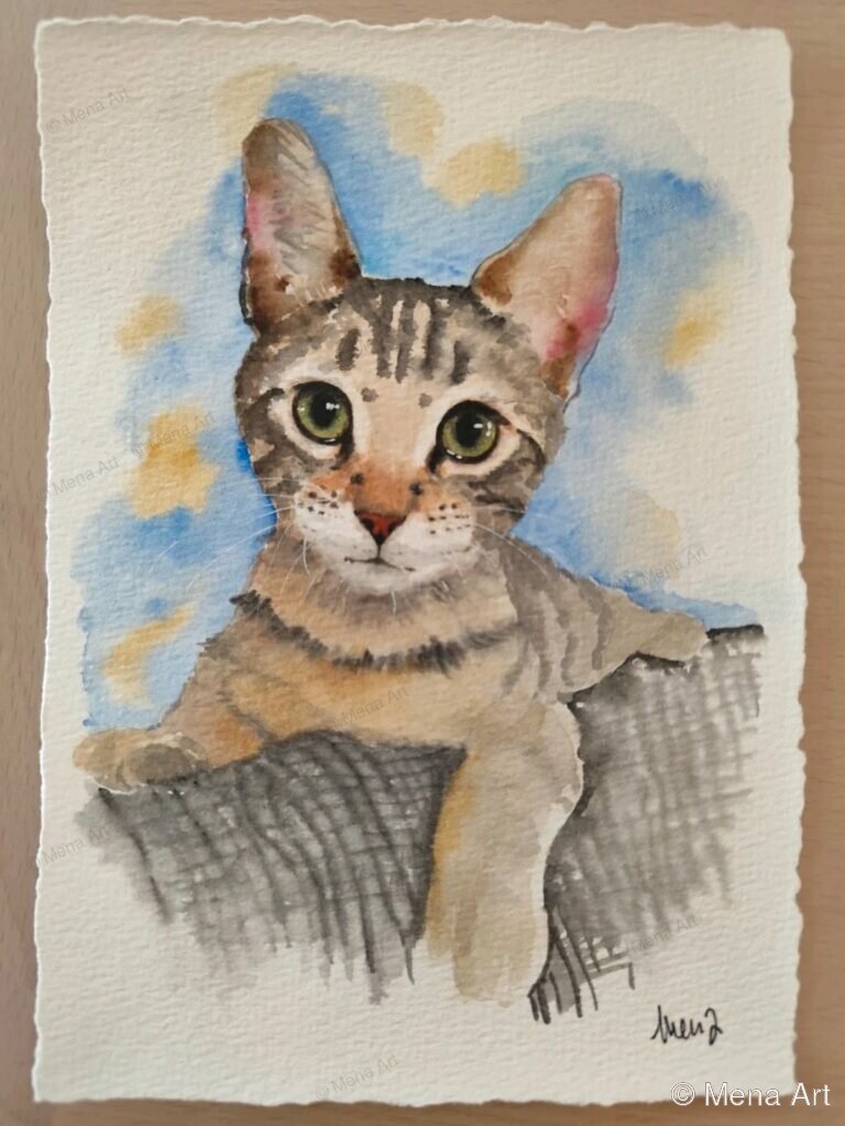 chaton - portrait aquarelle